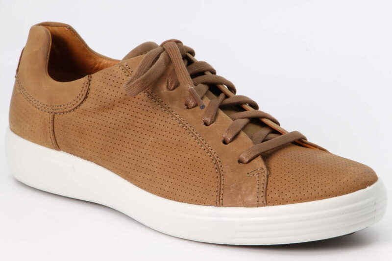 Soft7 camel