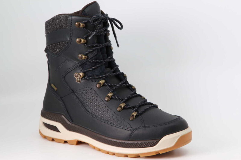 Renegade Evo Ice GTX Men navy / honig