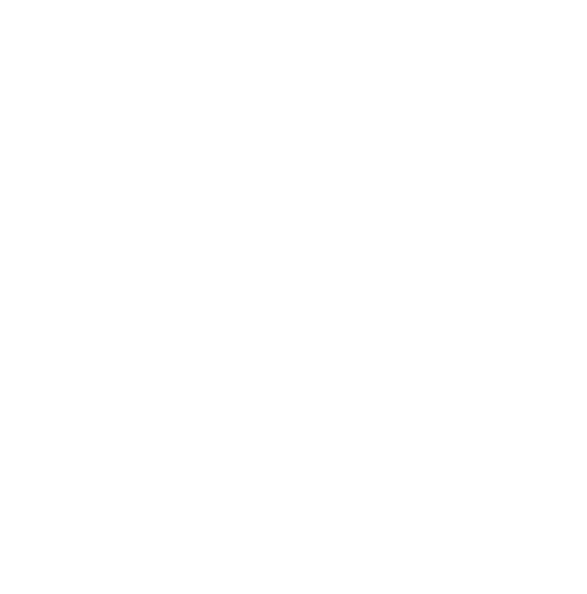 Schneider Schuhe