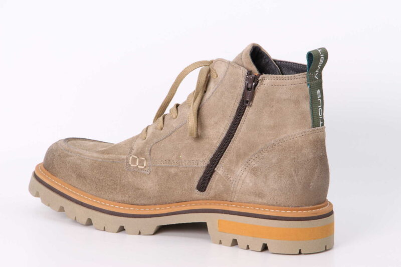 Vet beige – Bild 2