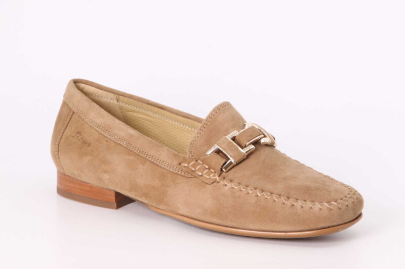 Cambria camel