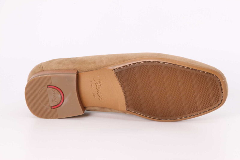 Cambria camel – Bild 3