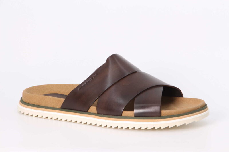 Mayan brown