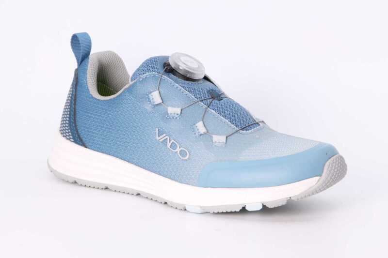 Fresh Lo BOA GTX blau