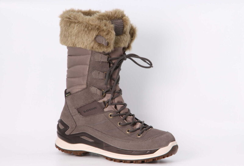 Alba Evo GTX Women stein / panna