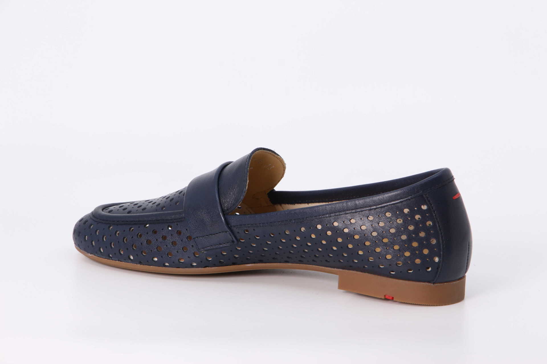 Wilma midnight – Bild 2