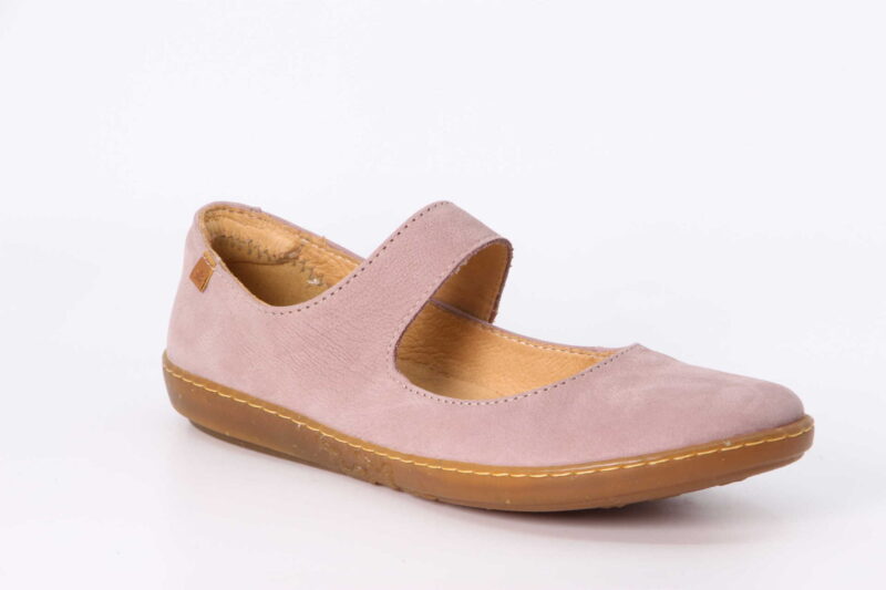 Coral malva