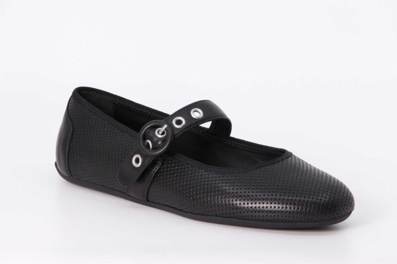 Daphne Brid black