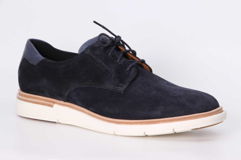 Goodman atlantic blue