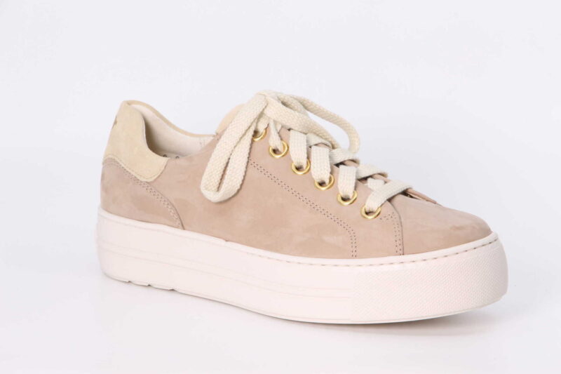 Sneaker antelope