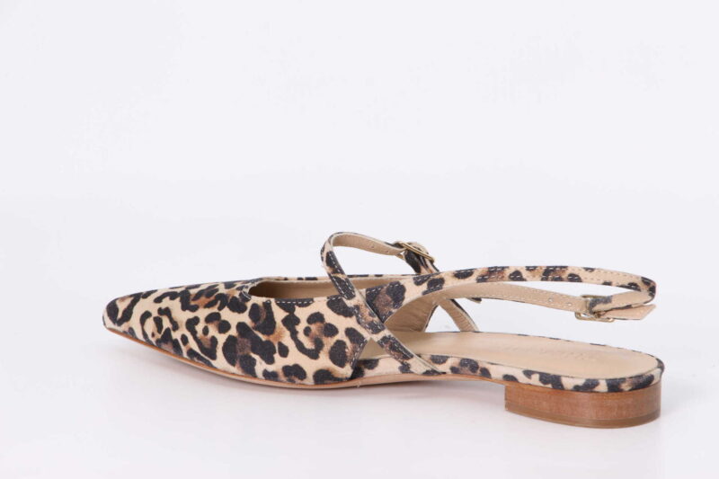 Marzia 10 jaguar – Bild 2