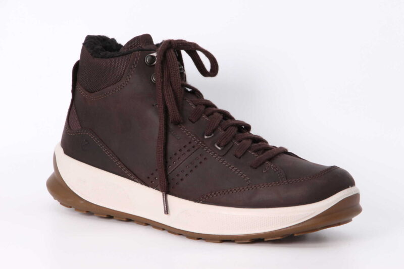 Byway 2.0 GTX mocha