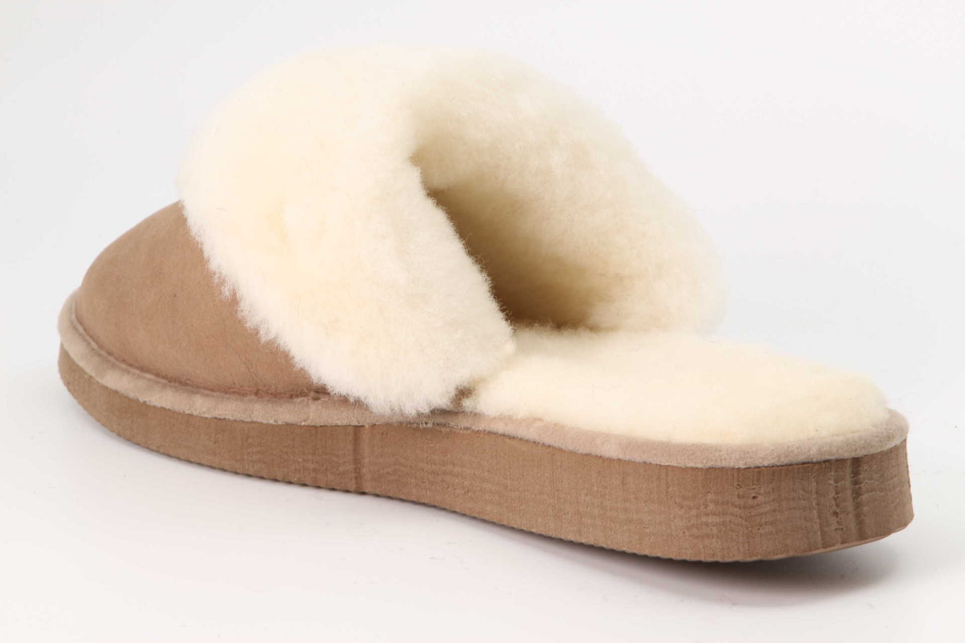 Lammfellfinken Pala tabacco – Bild 2