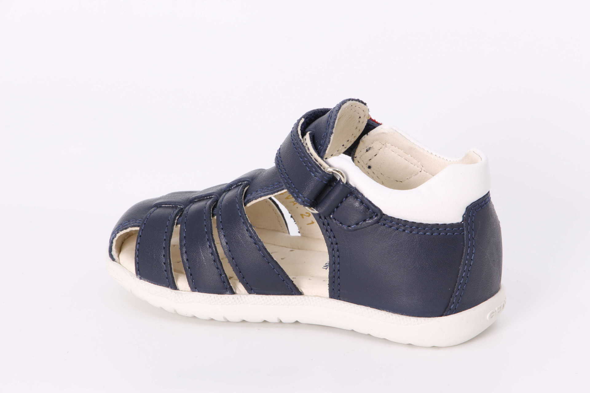 Maccia navy Rückseite