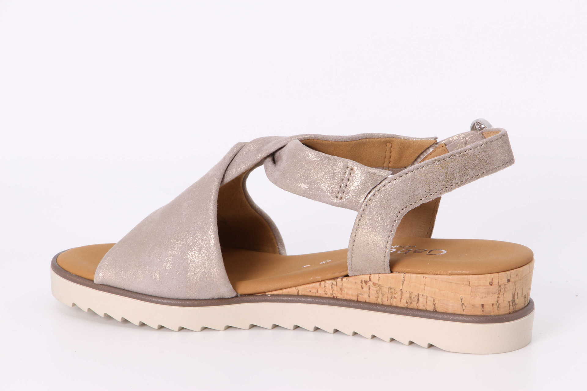 Genua muschel – Bild 2