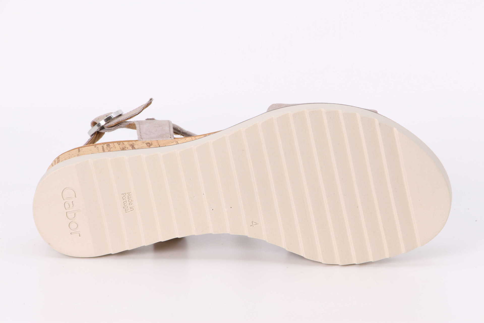 Genua muschel – Bild 3