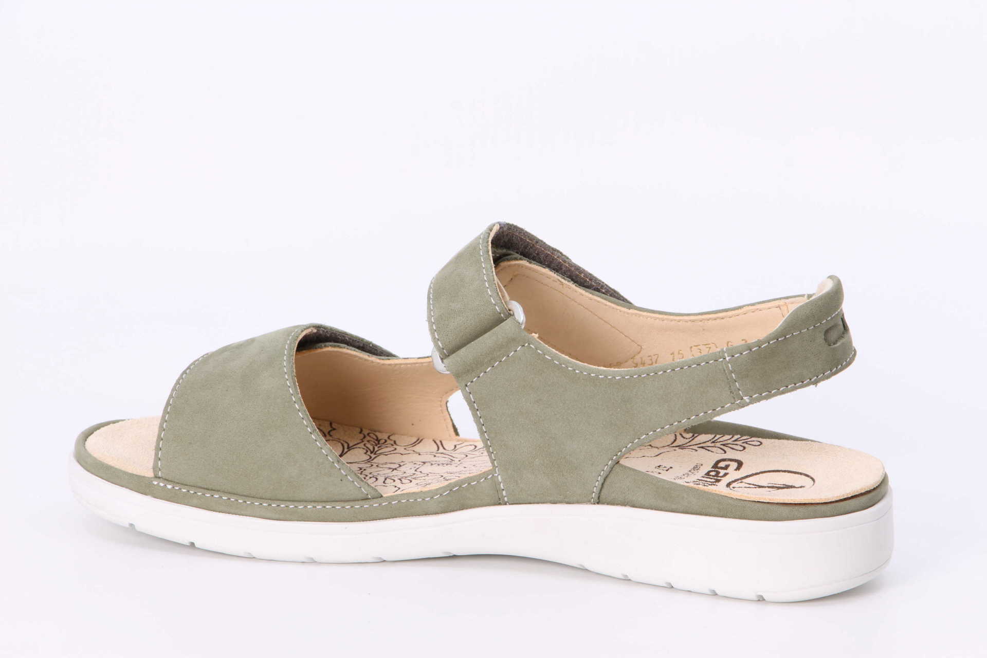 Gina salbei – Bild 2