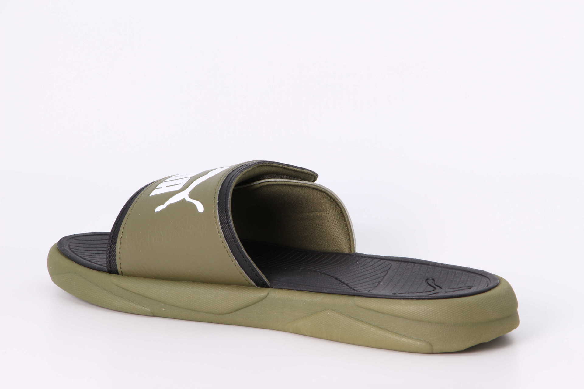 Royalcat olive – Bild 2