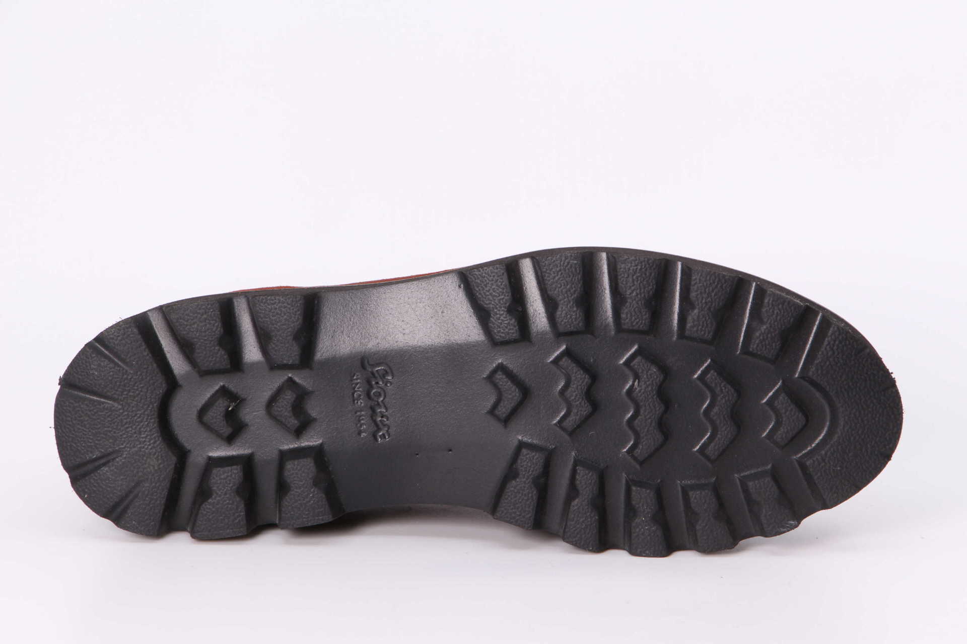 Meredira secuoia – Bild 3