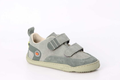 Qnuffs Ahorn river / salbei