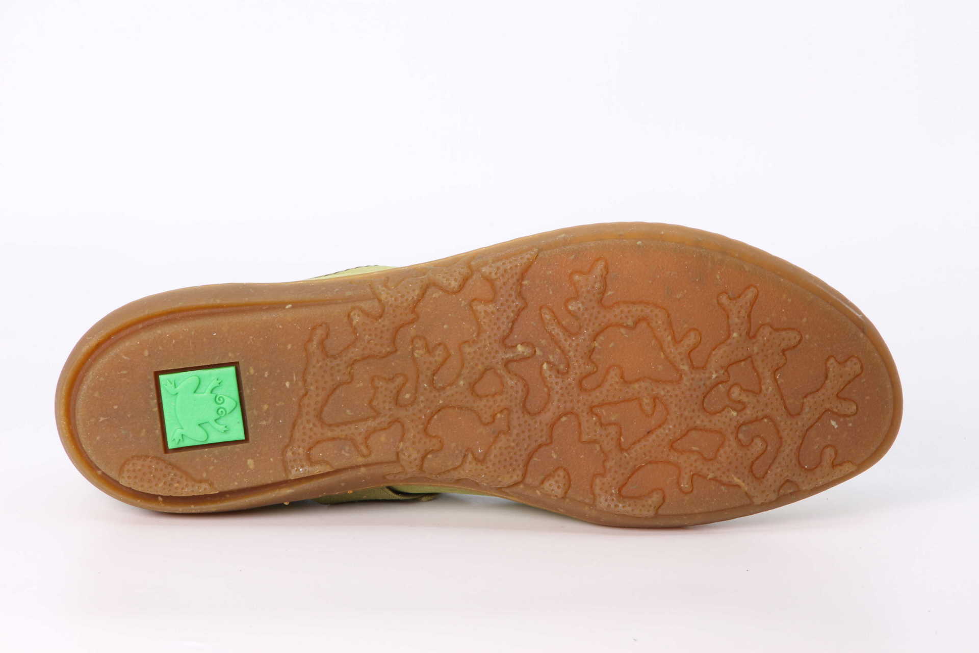 Coral liken – Bild 3