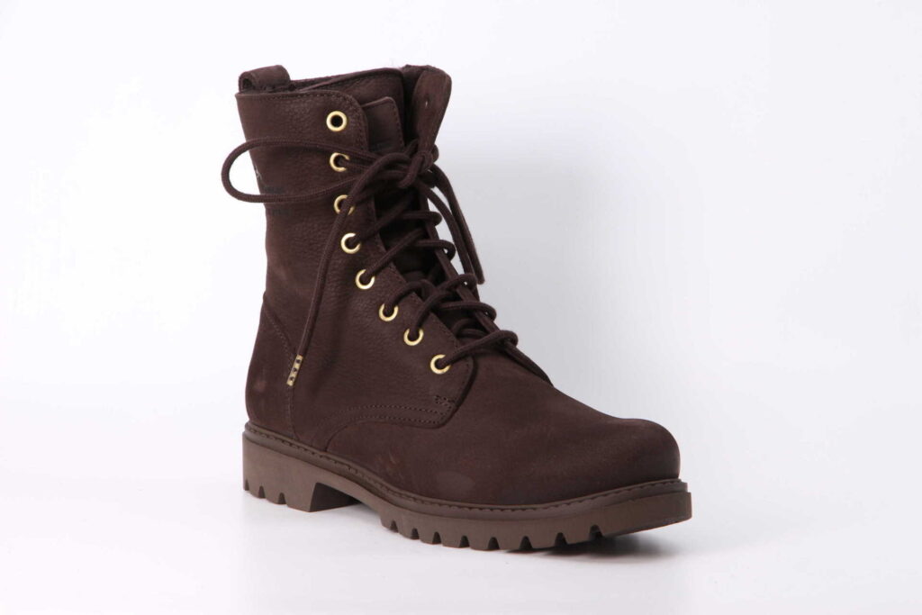 Frisia marron Vorderseite